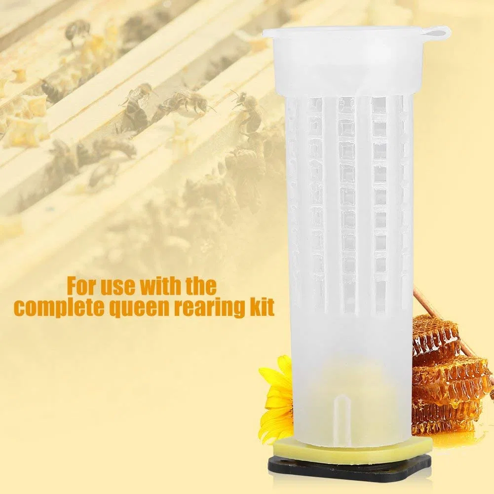 Jaulas de rodillos para abeja reina, kit cr¨ªa apicultura con 20 unidades, herramienta portavasos para criadero de abejas, accesorios duraderos para apicultores, jaulas cr¨ªa reina y crioa abejas