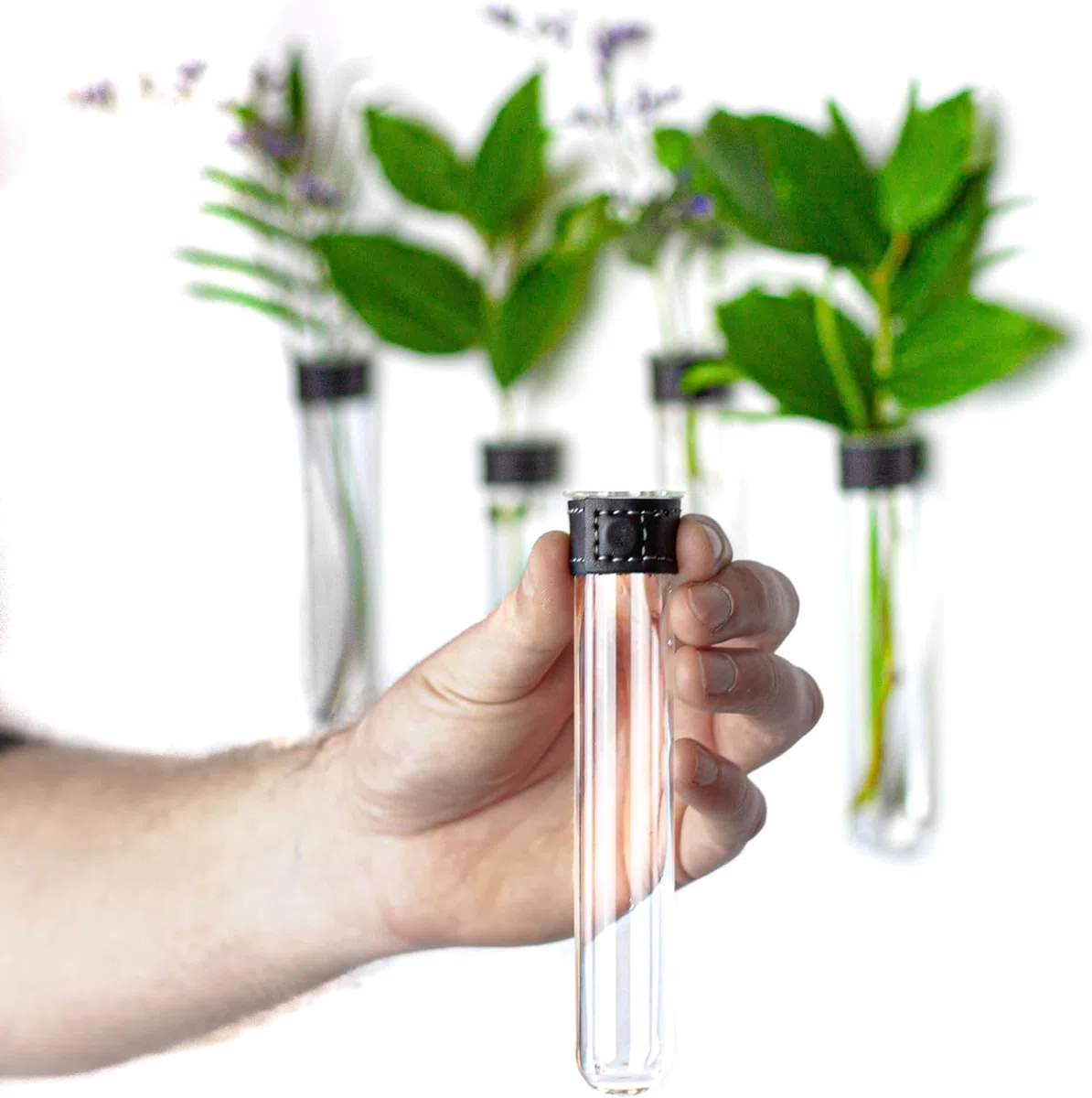 Tubos de ensayo para flores con cuero negro e imán de pared - Juego de 4 - Florero, tubos de ensayo con soporte, tubo de ensayo de pared, jarrón magnético