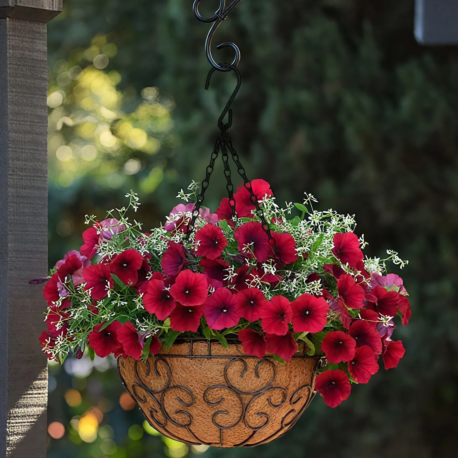 6 Piezas Hanging Basket Chains, Colgante Cadenas de Cestas 40 Cm, Cadena de Macetass con Plantas, Cadena para Colgar Macetas Negra, para Faroles, Pajareras, Publicitarios