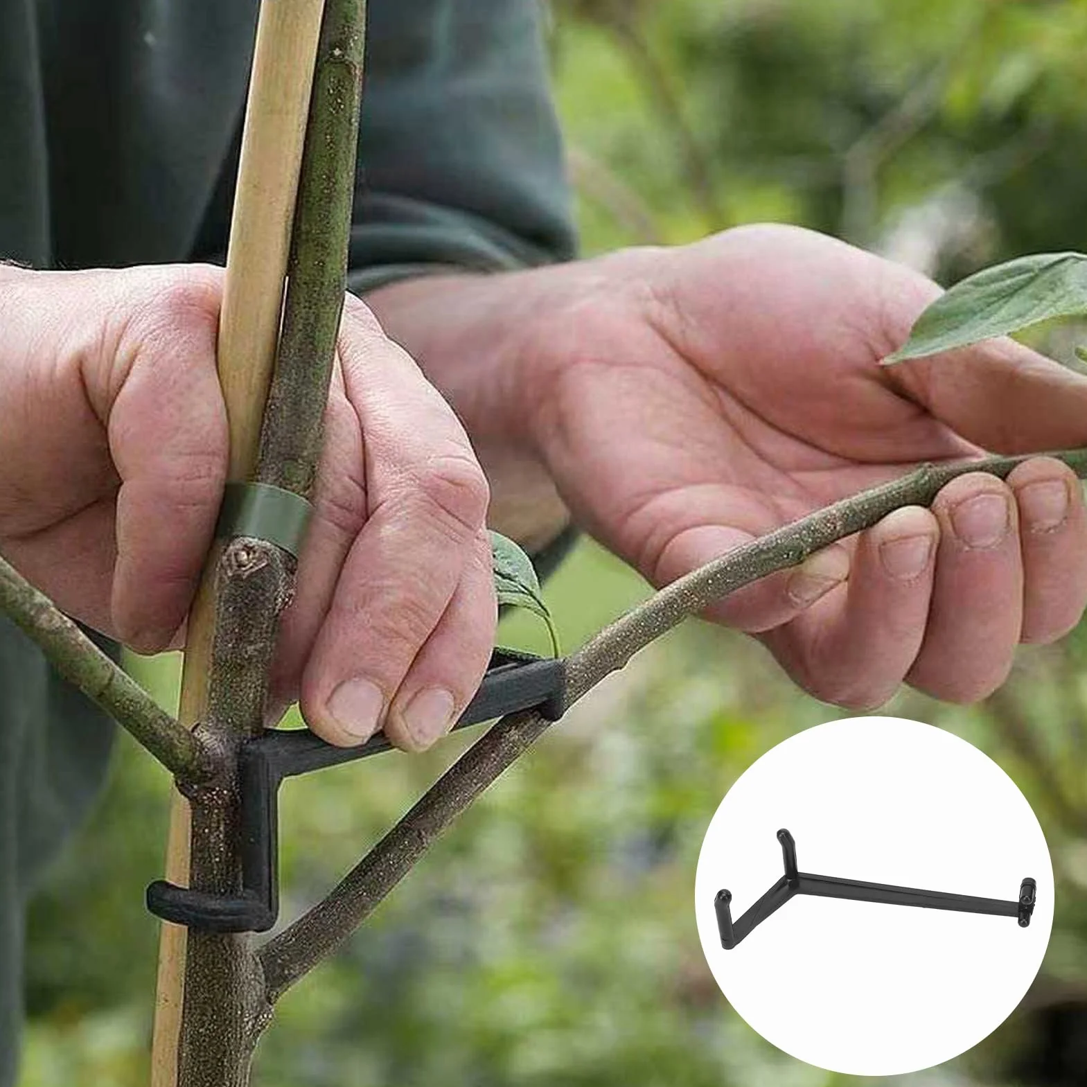 Esparcidor de Ramas de árboles Frutales, Esparcidor de Ramas de Frutas Resistente a la Presión para Jardinería