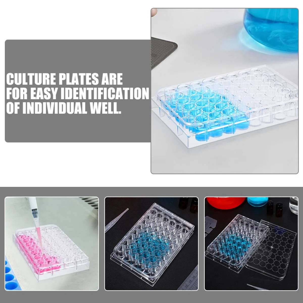 jojofuny Placa de Cultivo Celular para para de 48 Orificios Diseño Multifuncional y Material de Poliestireno, Paquete de 2 Unidades