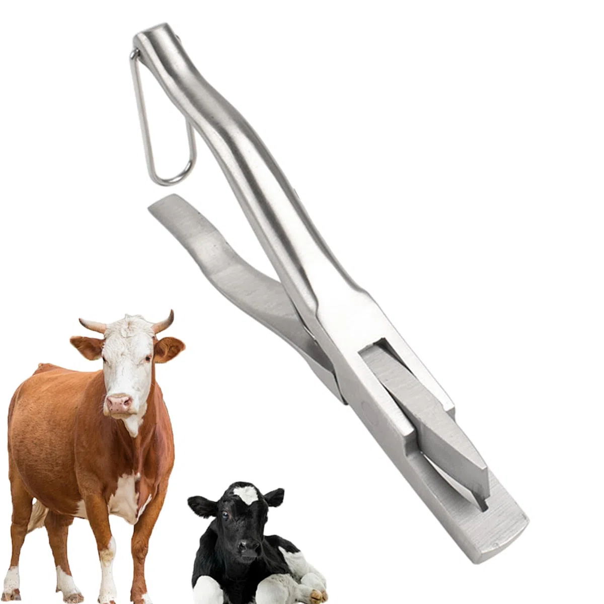 Alicates Para Hacer Muescas En Orejas De Cerdo - Alicates Para Marcar Ganado,Alicattes Para Hacer Muescas En Orejas De Cerdo Para Ganado | Animal Instruments Con Mango Ergonómico Para Identifi