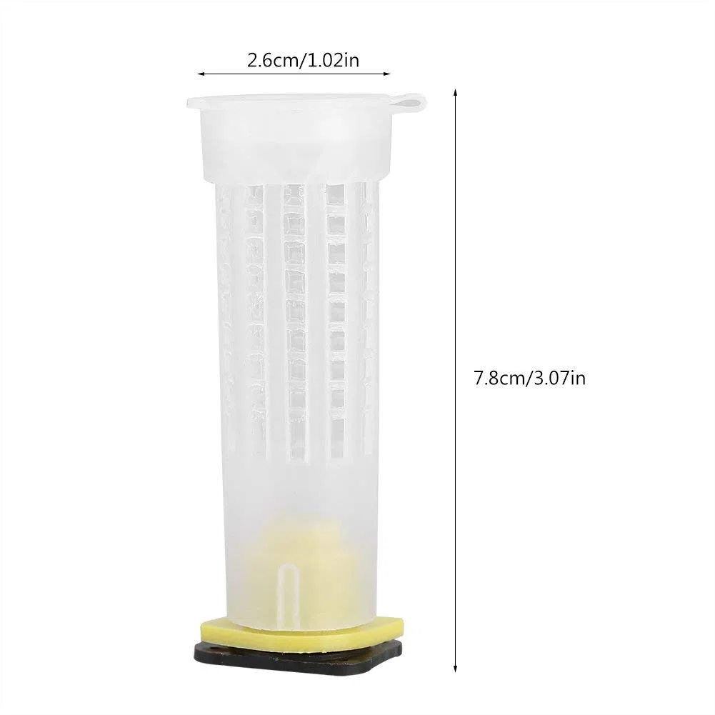 Jaulas de rodillos para abeja reina, kit cr¨ªa apicultura con 20 unidades, herramienta portavasos para criadero de abejas, accesorios duraderos para apicultores, jaulas cr¨ªa reina y crioa abejas