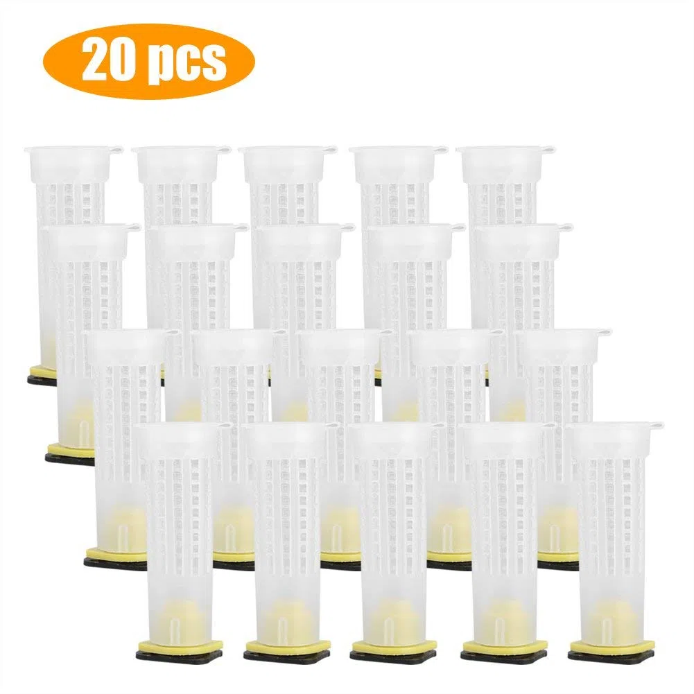 Jaulas de rodillos para abeja reina, kit cr¨ªa apicultura con 20 unidades, herramienta portavasos para criadero de abejas, accesorios duraderos para apicultores, jaulas cr¨ªa reina y crioa abejas
