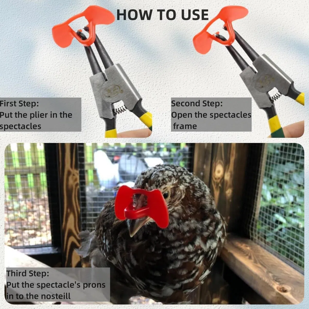 Gafas de pollo – Gafas de aves de corral – Gafas de de faisán de pollo con alicates para picar