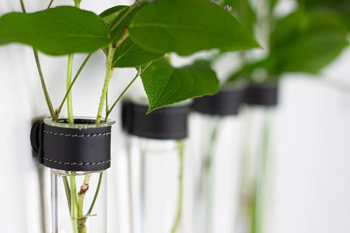 Tubos de ensayo para flores con cuero negro e imán de pared - Juego de 4 - Florero, tubos de ensayo con soporte, tubo de ensayo de pared, jarrón magnético
