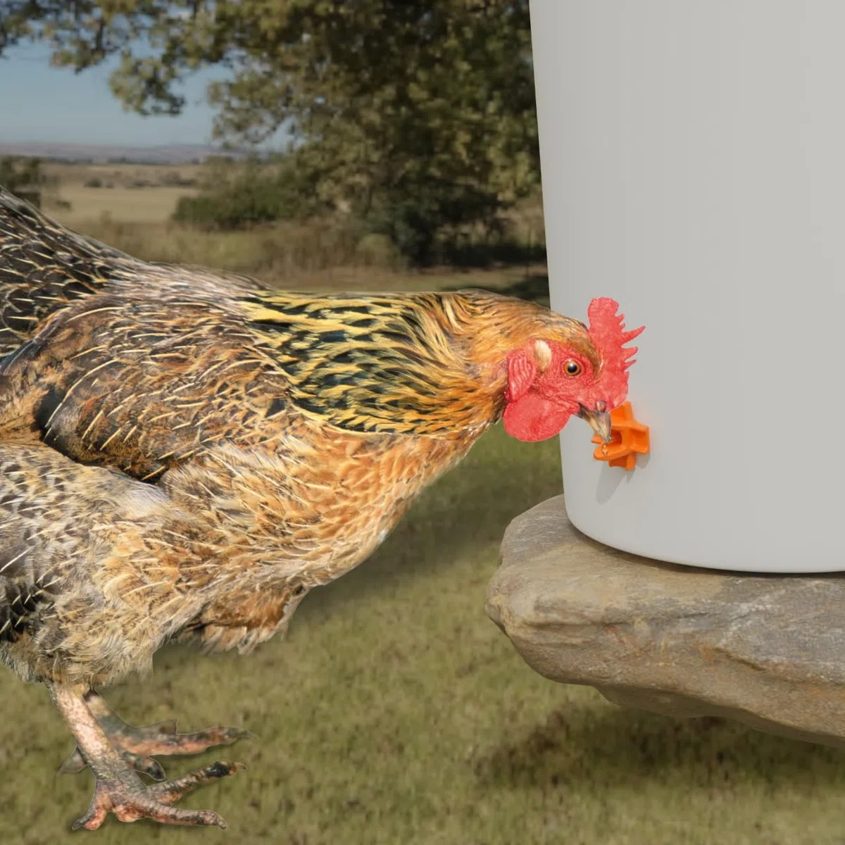 Pezones para pollos (15 unidades), montaje horizontal, sistema de riego automático antifugas, apto para pollos, patos, codornices