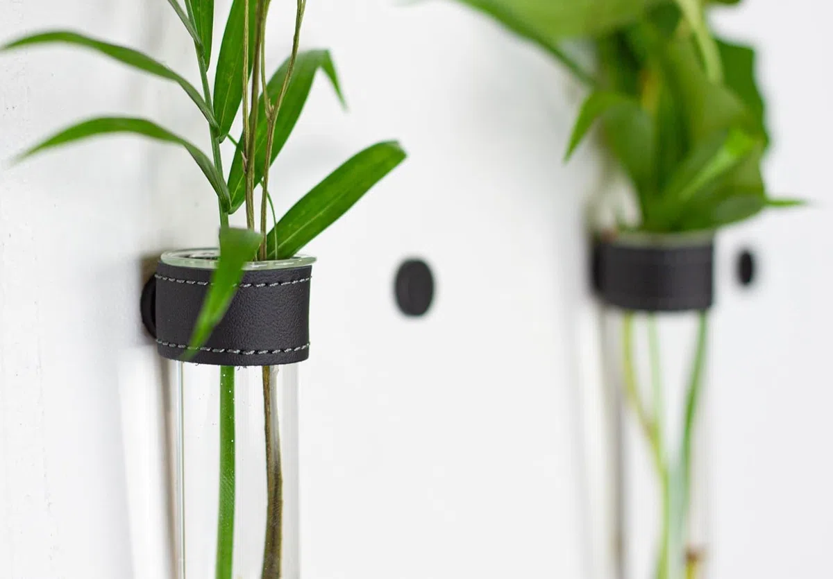 Tubos de ensayo para flores con cuero negro e imán de pared - Juego de 4 - Florero, tubos de ensayo con soporte, tubo de ensayo de pared, jarrón magnético