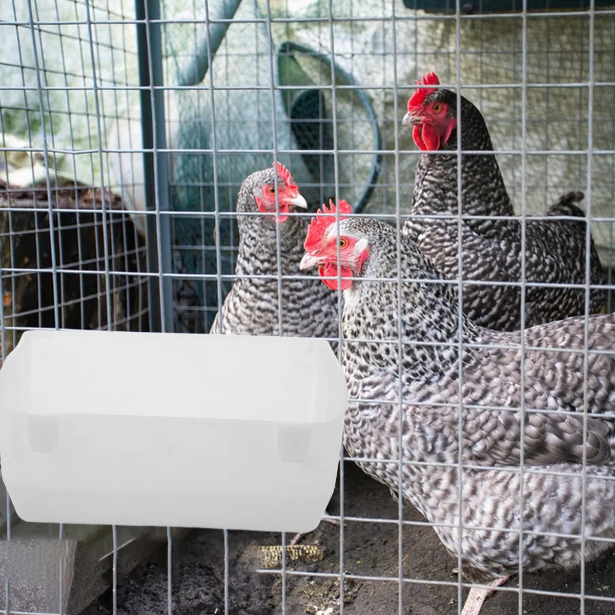 SHERCHPRY Comedero Colgante de Plástico para Pollitos y Gallinas, Dispensador de Comida Grande para Jaulas, Bebedero Pequeño Versátil para Granjas y Aves de Corral, Uso en Jaulas