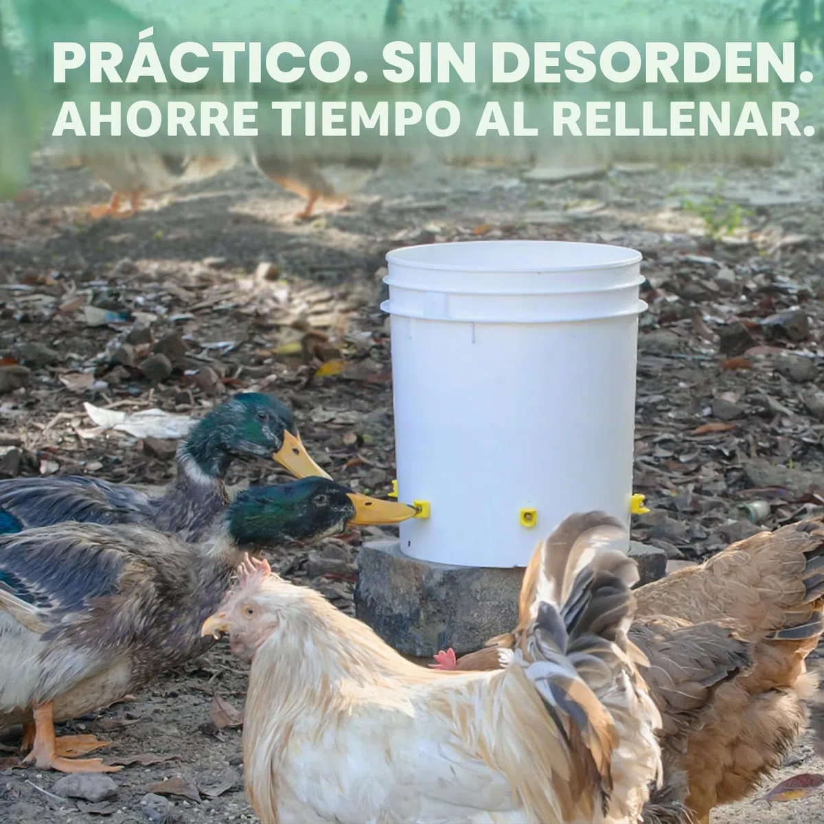 Pezones de riego de Pollo, Montaje Lateral Horizontal, Sistema de Agua automático antifugas para Aves de Corral, Adecuado para Pollos, Patos, codorniz, Paquete de, Incluye Broca y Herramienta
