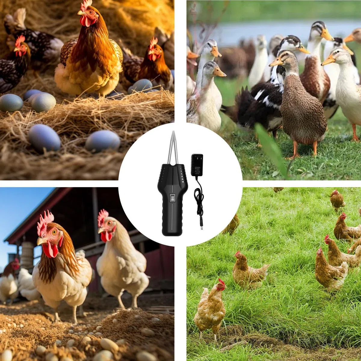 Genérico Desplumadora De Pollos Electrica - Desplumadora De Aves De Corral De Mano De Recargable - Portátil Desplumador De Pollos Para Quitar Plumas De Pato, Pollo, Pájaros Y Pavos
