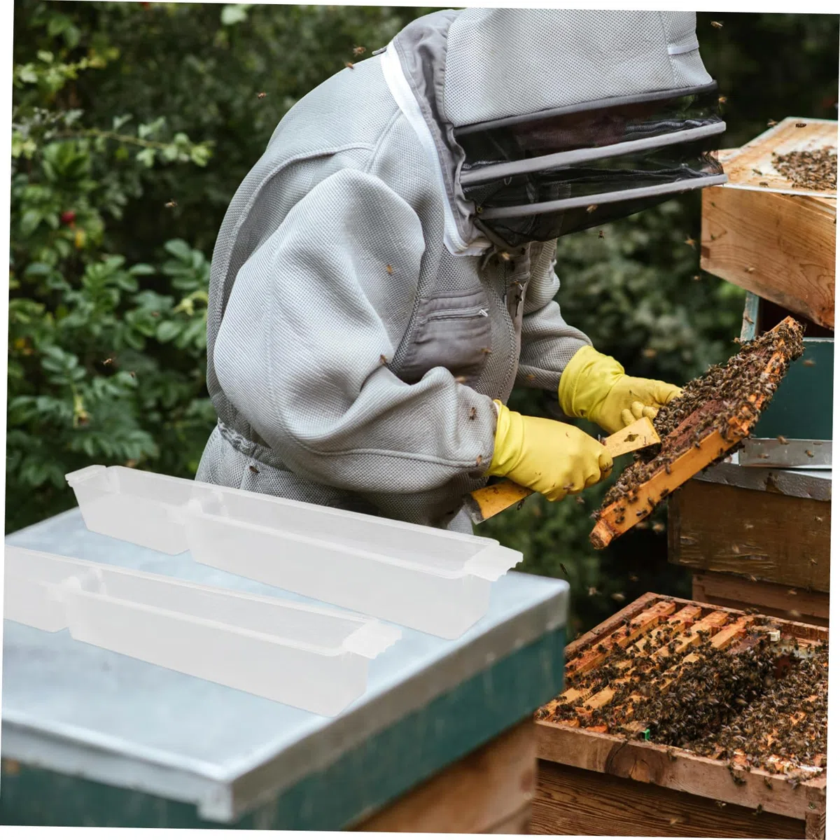 ifundom 4 Alimentadores De Colmenas De Plástico 1,5 Kg Para Apicultura, Estación De Riego Para Abejas, Herramienta Esencial Para Cuidado y Alimentación En Colmenas