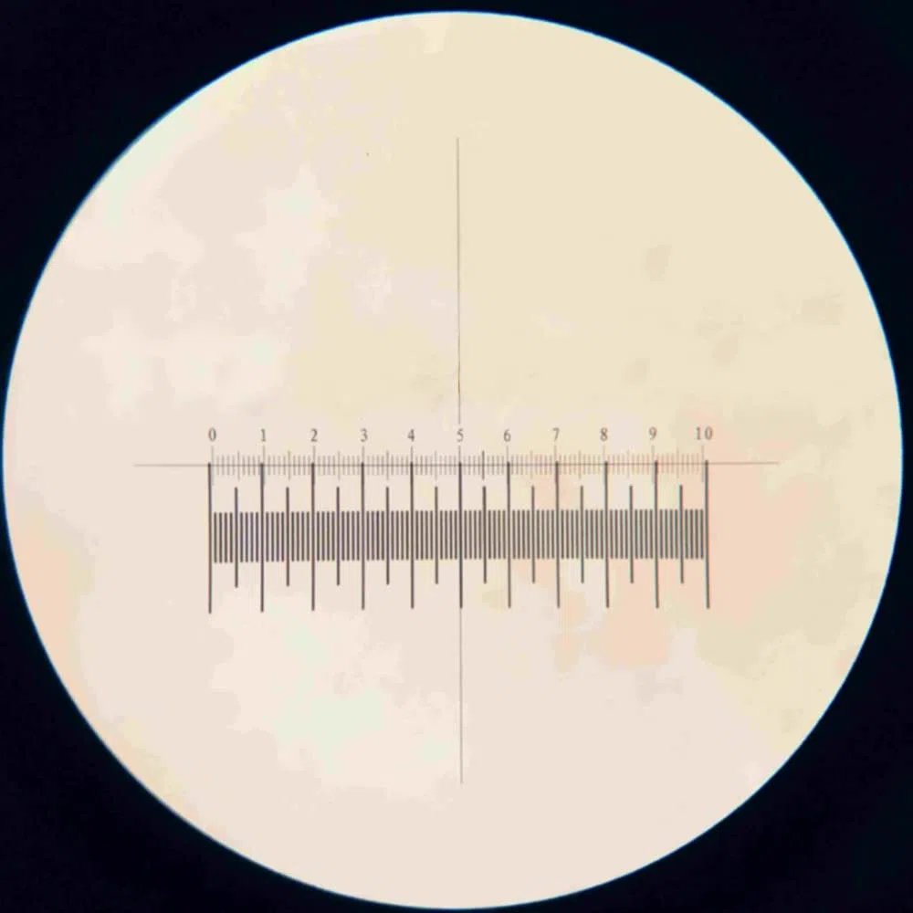 micrómetro del microscopio de 0.01m m, micrómetro objetivo de la etapa de cristal de la diapositiva de la calibración del micrómetro