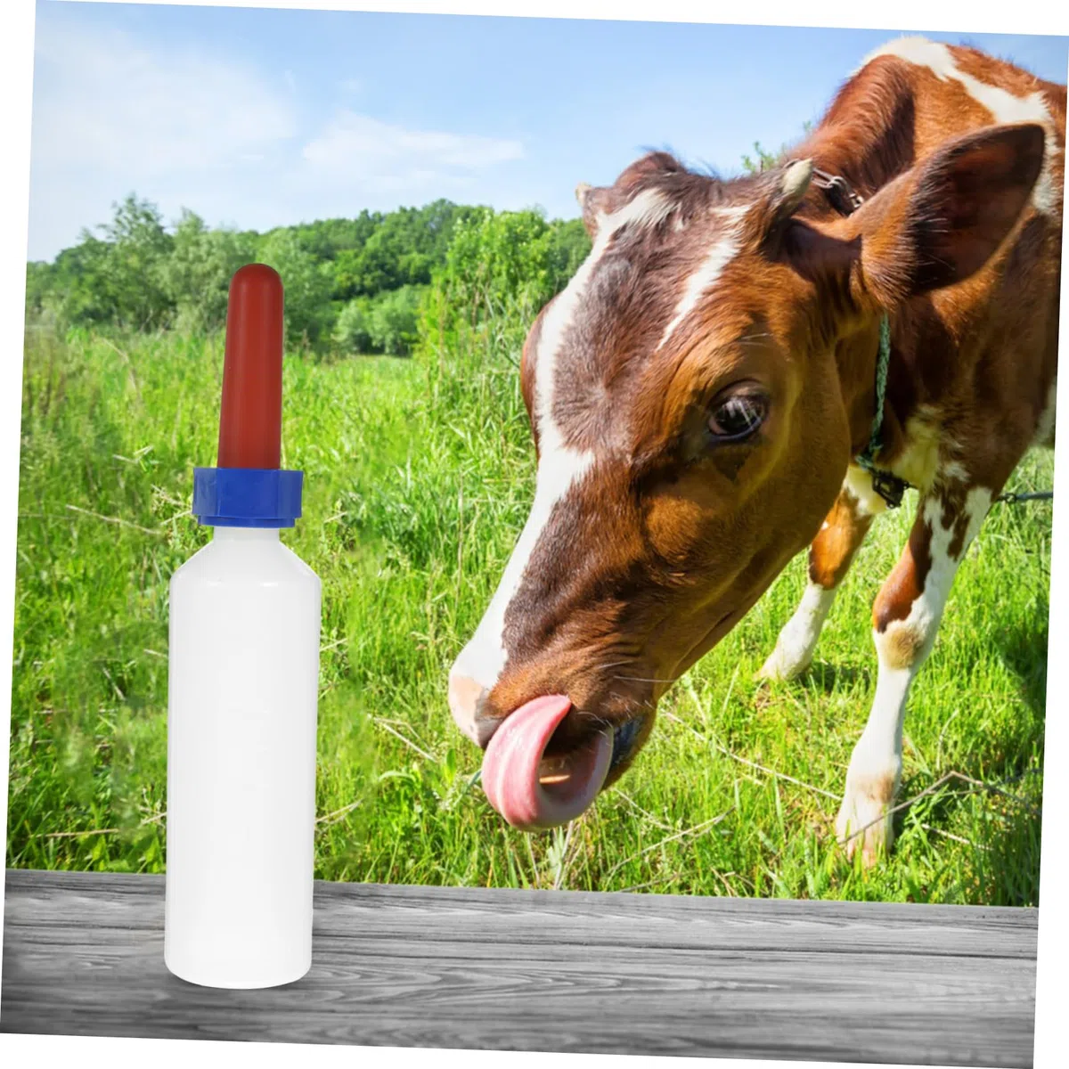 Botellas De Leche De Vaca Alimentador Para Cachorros Biberones Para Ganado Joven Alimentadores Para Terneros Biberón Para Animales De Granja Botella De Leche Para Terneros