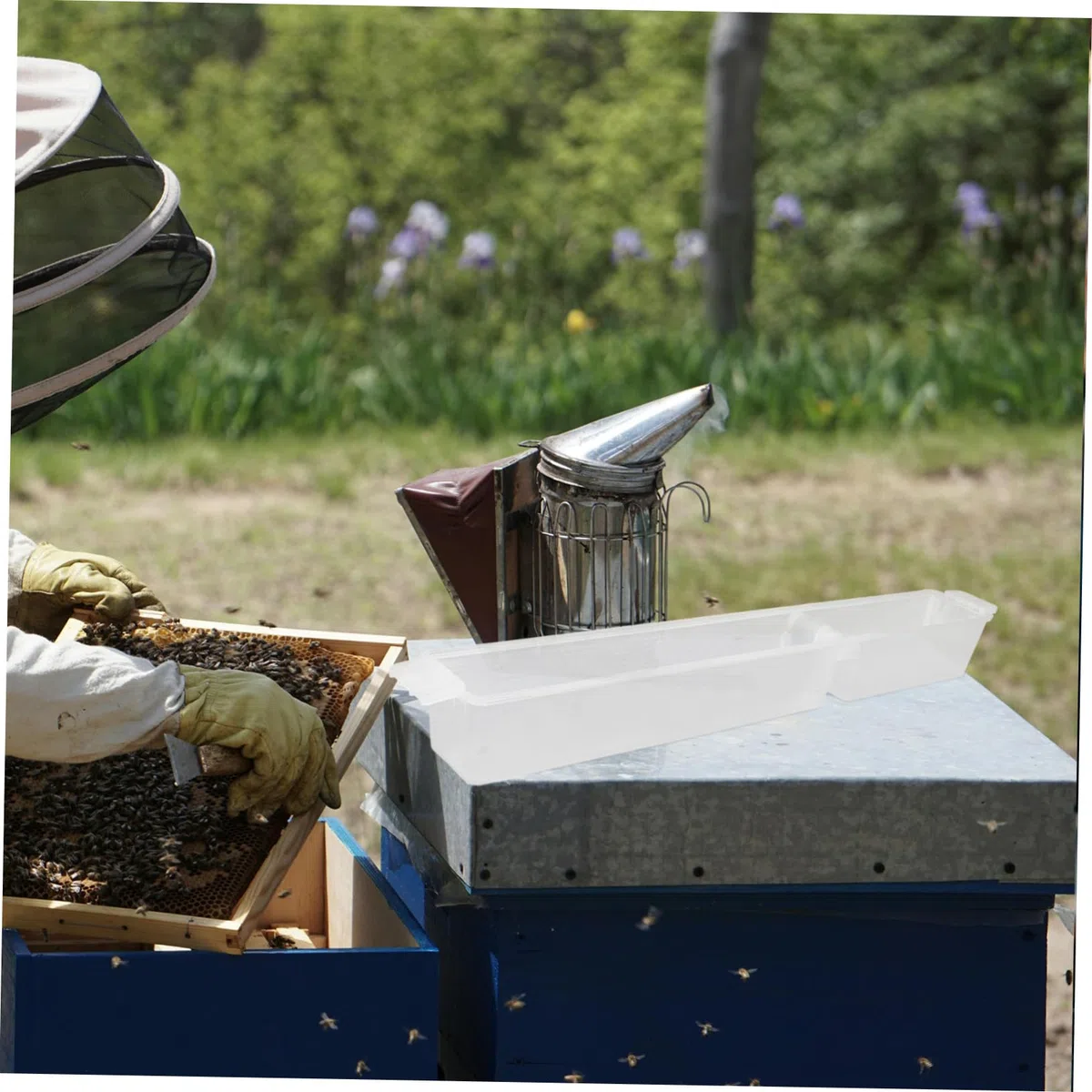 ifundom 4 Alimentadores De Colmenas De Plástico 1,5 Kg Para Apicultura, Estación De Riego Para Abejas, Herramienta Esencial Para Cuidado y Alimentación En Colmenas